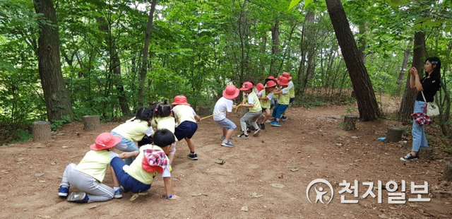 유아숲 체험 프로그램에 참여한 아이들이 줄다리기하고 있다. (제공: 용인시) ⓒ천지일보 2020.8.4