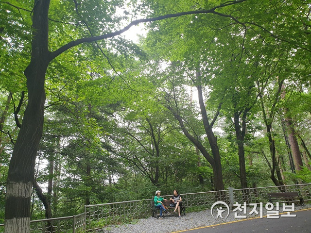 [천지일보 대전=김지현 기자] 역사와 전통 자랑하는 대전 대표 공원, 대전의 모산(母山)으로 불리는 보문산 데크 산책로 벤치에서 시민들이 힐링하며 담소를 나누고 있다. ⓒ천지일보 2020.8.5