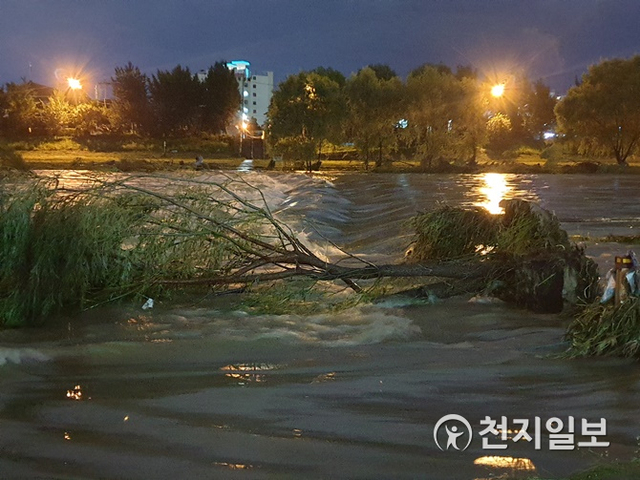 [천지일보 대전=김지현 기자] 대전시에 최근 쏟아져내린 폭우로 9일 서구 갑천에 물살이 아직도 거세게 범람하고 있다. 폭우가 오기 전 평화롭던 산책로의 풍경이 을씨년스럽게 변화된 모습이다. ⓒ천지일보 2020.8.10