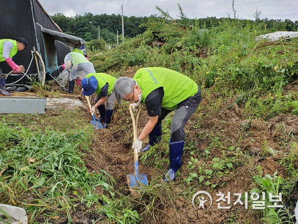 장철훈 농업경제대표이사(맨 앞)가 피해농가에서 유입된 토사를 제거하고 있다. (제공: 농협) ⓒ천지일보 2020.8.11