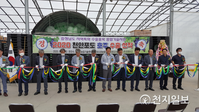 천안시와 천안포도영농조합법인이 13일 성거읍에 위치한 천안포도수출전문유통센터에서 천안 하늘그린 거봉포도 수출 선적식을 진행하고 있다. (제공: 천안시) ⓒ천지일보 2020.8.13