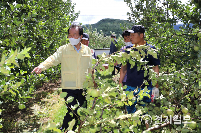 김주수 의성군수(왼쪽)가 탄저병 피해를 입은 사과재배 농가를 방문해 둘러보고 있다. (제공: 경북 의성군) ⓒ천지일보 2020.9.8