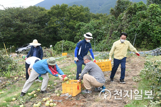 김하용 의장을 비롯한 도의원과 의회사무처 직원 35명이 참여해 제10호 태풍 하이선으로 가장 큰 피해를 입은 사과 재배 농가를 방문해 일손을 돕고 있다.(제공=경남도의회)ⓒ천지일보 2020.9.11