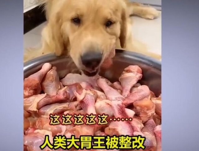 중국의 개 먹방 장면 (출처: 웨이보 캡처, 연합뉴스)