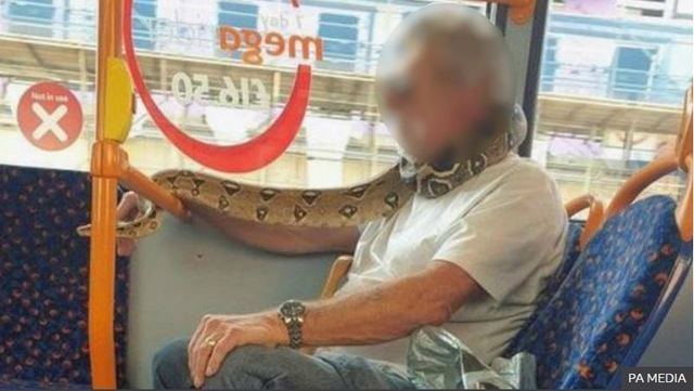한 영국 남성이 지난 14일 마스크 대신 뱀으로 자신의 얼굴을 가리고 버스에 탑승해 사람들을 놀라게 했다고 BBC가 16일(현지시간) 보도했다. (출처 : BBC, 뉴시스)
