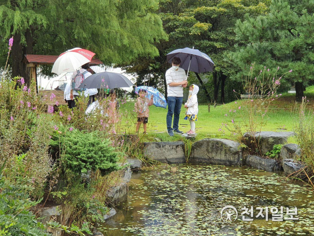 [천지일보 오산=이성애 기자] 비가 내리는 12일 코로나19를 피해 인근 도시에서 많은 시민이 오산시 물향기수목원을 찾아 주말의 휴식을 즐기고 있다. ⓒ천지일보 2020.9.12
