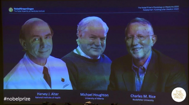 2020년 노벨 생리의학상 수상자. 왼쪽부터 하비 올터, 마이클 호턴, 찰스 라이스. (출처: 연합뉴스)