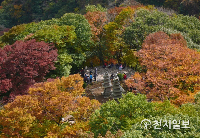 계룡산 남매탑을 중심으로 가을 단풍이 풍성하게 둘러싸여있다. (제공: 계룡산 국립공원) ⓒ천지일보 2020.10.26