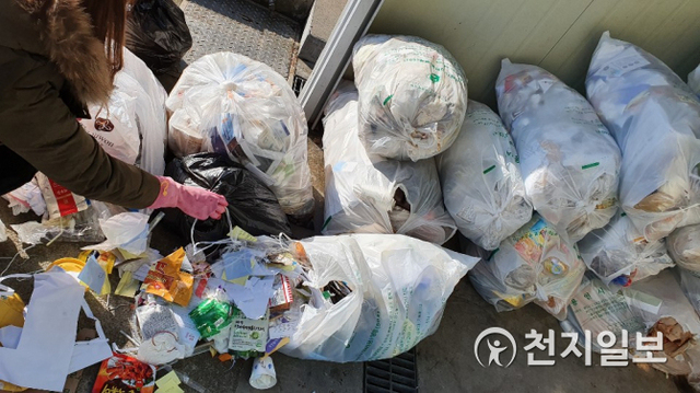용인시 관계자가 시청 뒤편에 있는 쓰레기 집하장에서 생활폐기물 표본 검사를 하고 있다. (제공: 용인시) ⓒ천지일보 2020.11.3