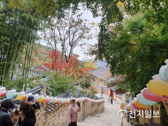 [천지일보 부산=강태우 기자] 종루 옆의 계단 길로 난 울창한 대나무 숲길. 범어사에서는 이 길을 ‘한국의 아름다운 길’이라고 부르는데, 이곳으로 웨딩 스냅 촬영도 많이 온다고 한다. ⓒ천지일보 2020.11.5