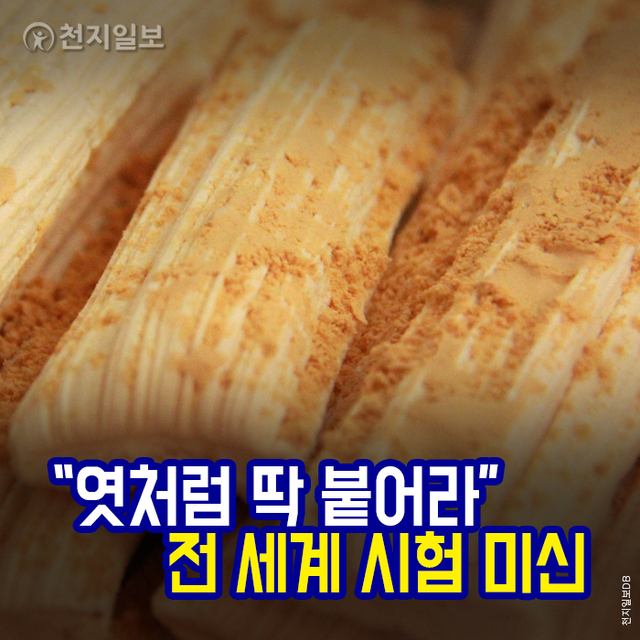 ⓒ천지일보 2020.11.9