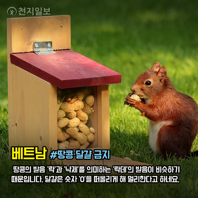 ⓒ천지일보 2020.11.9