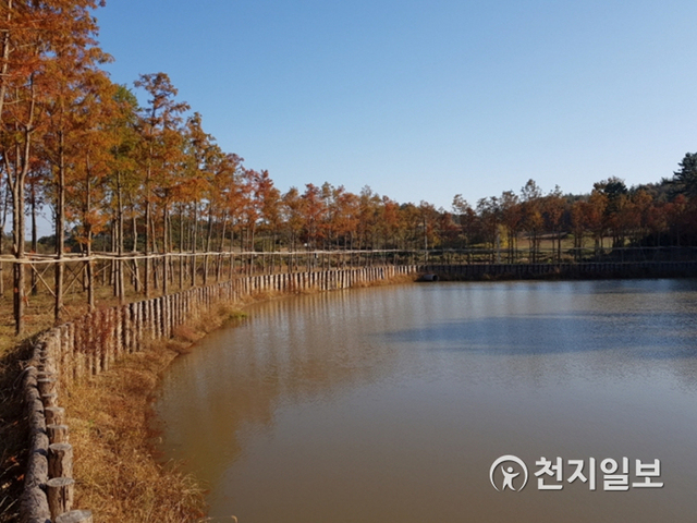 압해읍 신용리 일원의 수변공원 2호. (제공: 신안군) ⓒ천지일보 2020.11.11
