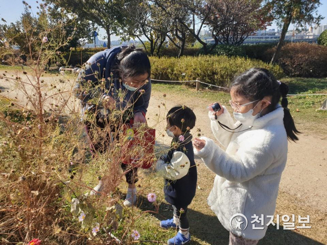 한강공원 생태프로그램 잠원-플로라 오브 한강. (제공: 서울시) ⓒ천지일보 2020.11.13