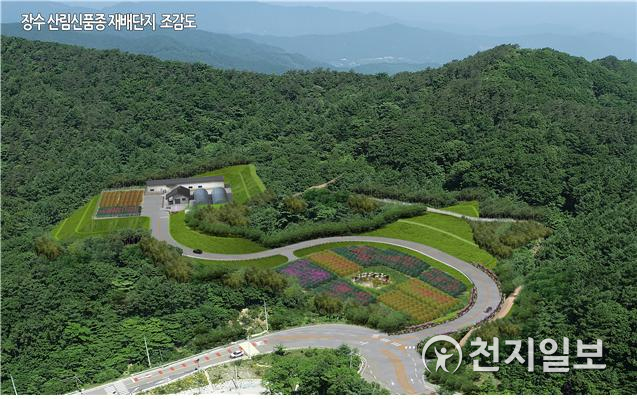 장수 산림신품종 재배단지 조감도. (제공:순창군) ⓒ천지일보 2020.11.17