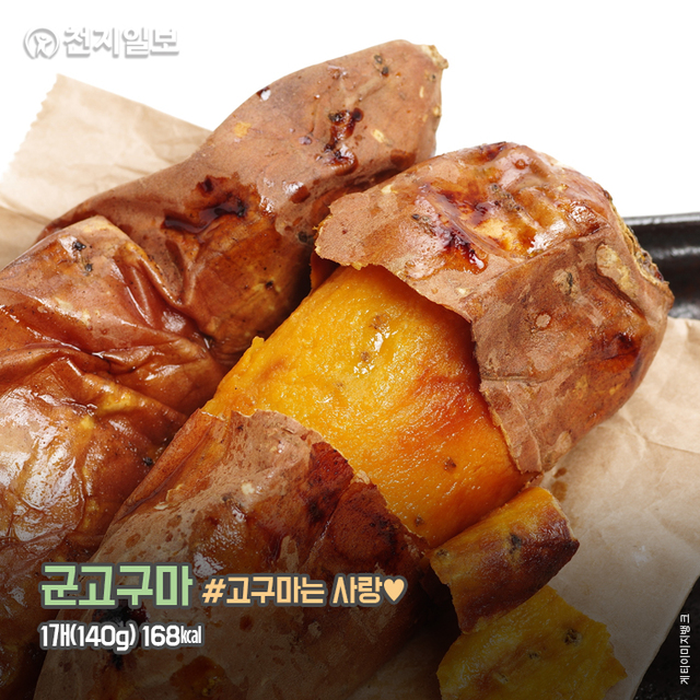 ⓒ천지일보 2020.11.22