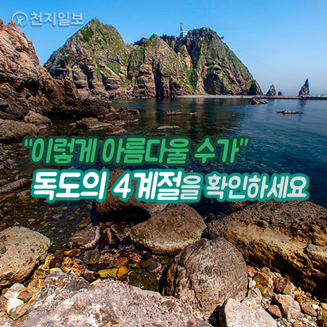 ⓒ천지일보 2020.11.24