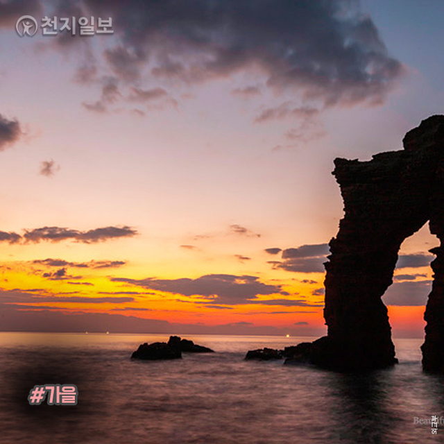 ⓒ천지일보 2020.11.24