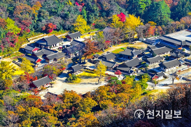 해남 대흥사. (제공: 전남도청) ⓒ천지일보 2020.11.26