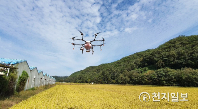 첫 시범사업 ‘조사료 생산용 종자 드론파종’ 추진 모습. (제공: 진주시) ⓒ천지일보 2020.10.8
