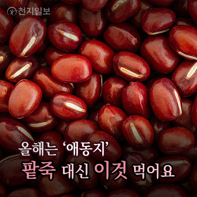 ⓒ천지일보 2020.12.20