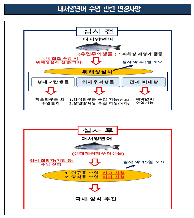 대서양연어 수입관련 변경사항. 생태계위해우려생물: 연구목적 수입 시-신고·상업목적 수입 시–허가→ 약 15일 소요(제공: 강원도)ⓒ천지일보 2021.1.6