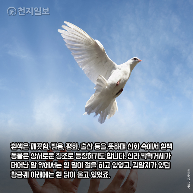 ⓒ천지일보 2021.1.11