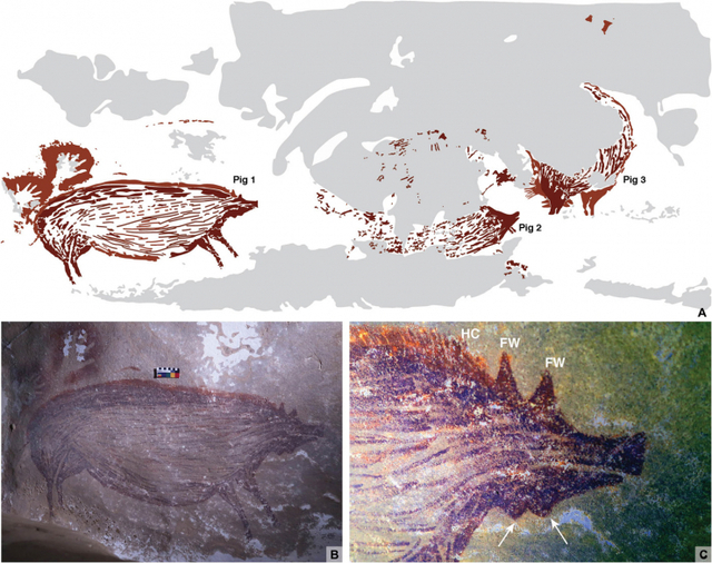 인도네시아 술라웨시 섬의 랑 테동게 동굴에서 적어도 4만 5500년 전의 멧돼지 벽화(사진)가 발견됐다. 이는 현생인류가 그린 벽화 중 가장 오래된 것이다. (출처: 사이언스 어드밴스)