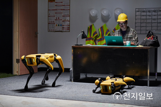 보스턴 다이내믹스가 개발한 4족 보행 로봇 스팟. (제공: 현대자동차그룹)ⓒ천지일보 2020.12.11