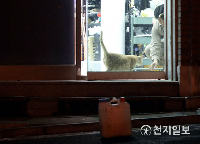 [천지일보=남승우 기자] 지난 11일 밤 서울 용산구 서계동에서 한 시민이 길고양이에게 먹이를 주고 있다. ⓒ천지일보 2021.1.29