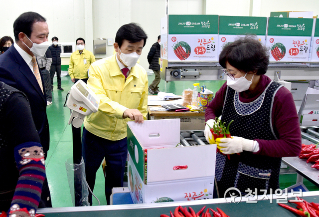 [천지일보 진주=최혜인 기자] 1일 오후 조규일 진주시장이 농산물 공동브랜드 ‘진주드림’ 사용승인 조직체인 문산농협 산지유통센터를 방문해 유통현황과 코로나19 방역사항 등을 점검하고 있다.이날 조규일 시장은 “코로나로 인해 국내외 여건이 어려운 상황”이라며 “철저한 방역관리와 농산물의 체계적인 품질관리로 진주 농산물 공동브랜드의 가치를 높이고 전국·해외시장에서 인증받는 명품브랜드로 만들어나가겠다”고 밝혔다.지난 1999년에 준공된 진주문산농협 산지유통센터는 135농가에서 단감·배·풋고추 등을 국내외 연간 1255톤 출하해 50억원의 출하실적을 올리고 있다. ⓒ천지일보 2021.2.1