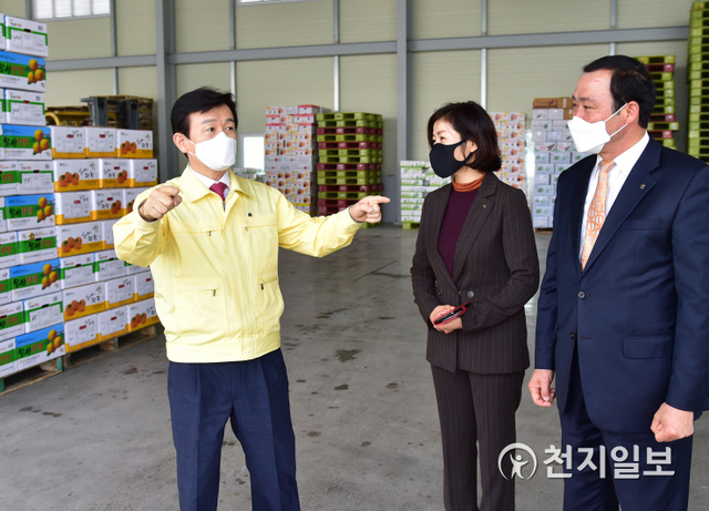 [천지일보 진주=최혜인 기자] 1일 오후 조규일 진주시장이 농산물 공동브랜드 ‘진주드림’ 사용승인 조직체인 문산농협 산지유통센터를 방문해 유통현황과 코로나19 방역사항 등을 점검하고 있다.이날 조규일 시장은 “코로나로 인해 국내외 여건이 어려운 상황”이라며 “철저한 방역관리와 농산물의 체계적인 품질관리로 진주 농산물 공동브랜드의 가치를 높이고 전국·해외시장에서 인증받는 명품브랜드로 만들어나가겠다”고 밝혔다.지난 1999년에 준공된 진주문산농협 산지유통센터는 135농가에서 단감·배·풋고추 등을 국내외 연간 1255톤 출하해 50억원의 출하실적을 올리고 있다. ⓒ천지일보 2021.2.1