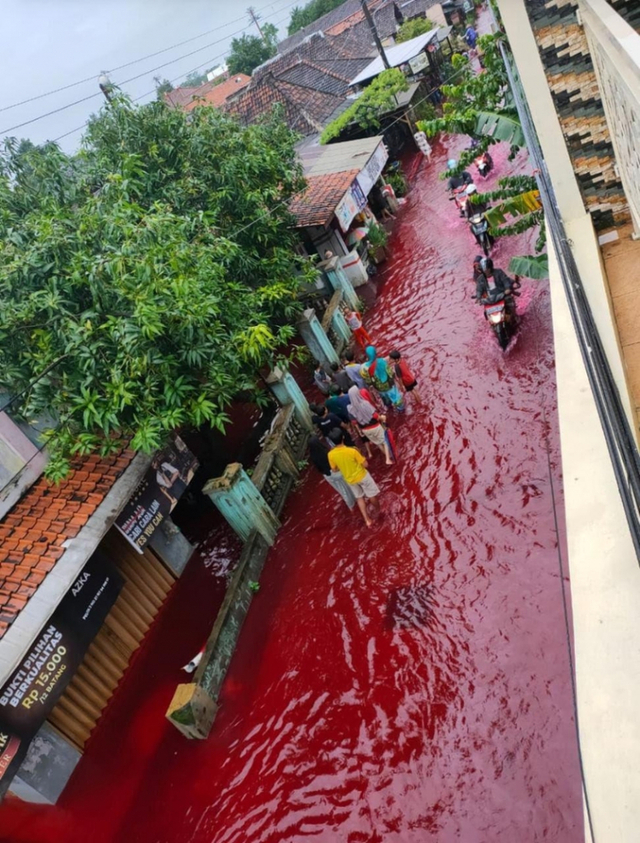인도네시아 '진홍색 홍수'에 화들짝…바틱 염료 때문(출처: 트위터 @Febrxaryy23)