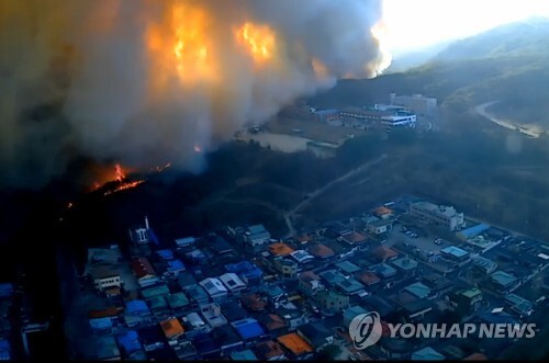(안동=연합뉴스) 21일 경북 안동시 임동면 망천리 야산에서 불이 나 주변으로 번지고 있다.