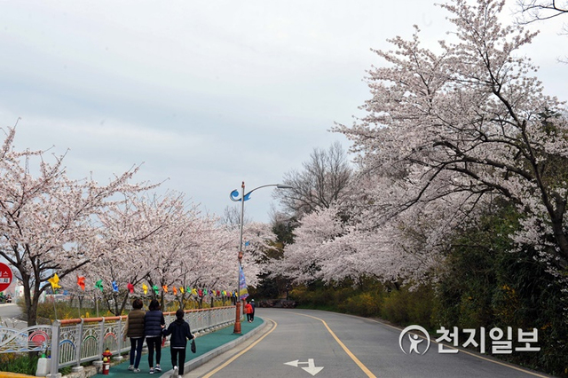 전남 목포시가 코로나19 확산 방지를 위해 매년 4월 유달산 일원에서 개최하는 ‘목포 유달산 봄 축제’를 전면 취소한다. (제공: 목포시) ⓒ천지일보 2021.3.9