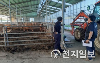 전북 부안군이 23일 봄철 환경오염 예방 및 악취 민원 방지를 위해 한 축산농가를 방문해 가축분뇨 배출시설에 대한 지도·점검을 하고 있다. (제공: 부안군청) ⓒ천지일보 2021.3.23