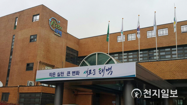 태백시청. ⓒ천지일보