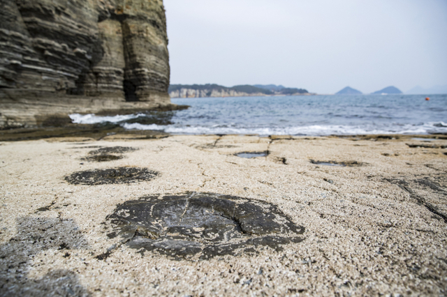 경남 ‘고성공룡박물관’은 국내 최초로 공룡 발자국이 발견된 곳으로 군 전역에 걸쳐 거의 모든 곳에서 약 5000점의 공룡발자국 화석이 발견되고 있다. (출처: 게티이미지뱅크)