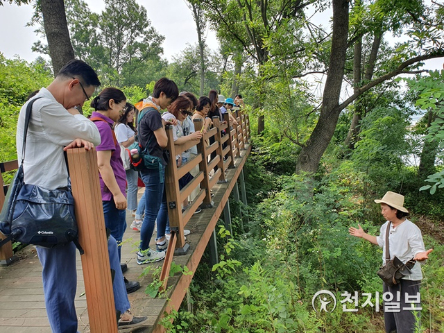 대전마케팅공사(사장 고경곤)가 6월 30일(수)까지 대청호 생태테마관광 프로그램 ‘예술가와의 산책’을 운영한다. (제공: 대전마케팅공사) ⓒ천지일보 2021.3.30