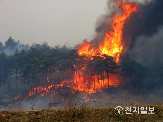 청명·한식 기간 산불 발생 모습. (제공: 경남도) ⓒ천지일보 2021.4.2