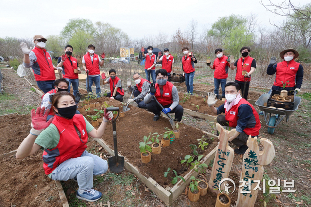 지난 2일 LG유플러스 임직원이 서울 노을공원 자람터에서 도토리나무를 옮겨 심고 있다. (제공: LG유플러스) ⓒ천지일보 2021.4.5