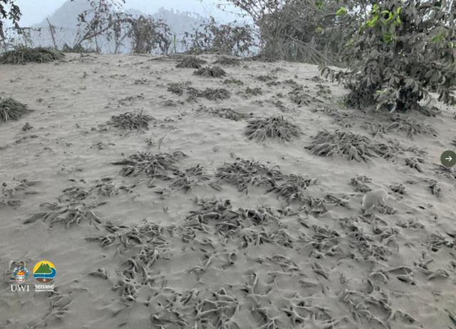 11일(현지시간) 오전 화산재에 파묻힌 세인트빈센트섬. (출처: UWI 지진 연구 센터 트위터)