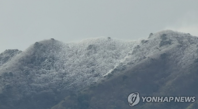 17일 오후 강풍과 비가 내린 쌀쌀한 날씨에 춘천시 신북읍 배후령 인근 산 정상에 눈이 쌓였다. (출처: 연합뉴스)