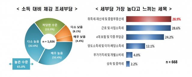 소득 대비 체감 조세부담, 부담 세목. (제공: 한국경제연구원)