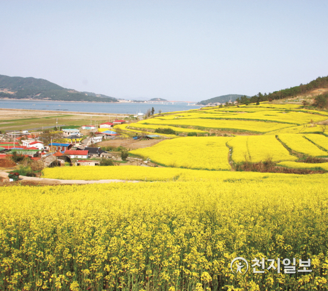 장흥 선학동 마을. (제공: 장흥군) ⓒ천지일보 2021.5.3