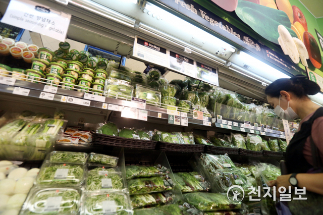[천지일보=남승우 기자] 지난 4일 통계청의 ‘소비자물가 동향’에 따르면 7월 소비자물가지수가 지난해 동월 대비 0.3% 상승했다. 품목별로 보면 농·축·수산물 가격이 6.4% 상승했다. 장마에 따른 출하 감소 등의 영향으로 채소류가 16.3% 상승하며 농산물 가격이 4.9% 올랐다. 사진은 이날 오후 서울의 한 대형마트에서 시민들이 장을 보고 있는 모습. ⓒ천지일보 2020.8.04