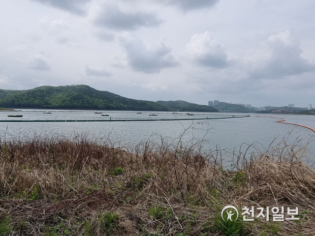 ⓒ천지일보 2021.5.7