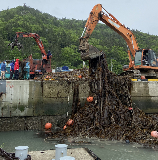 진도군이 민·관 합동으로 해상에 표류하고 있는 쓰레기 수거 작업을 하고 있다. (제공: 진도군) ⓒ천지일보 2021.5.10