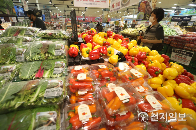 [천지일보=남승우 기자] 4일 통계청의 ‘소비자물가 동향’에 따르면 7월 소비자물가지수가 지난해 동월 대비 0.3% 상승했다. 품목별로 보면 농·축·수산물 가격이 6.4% 상승했다. 장마에 따른 출하 감소 등의 영향으로 채소류가 16.3% 상승하며 농산물 가격이 4.9% 올랐다.사진은 이날 오후 서울의 한 대형마트에서 시민들이 장을 보고 있는 모습. ⓒ천지일보 2020.8.4