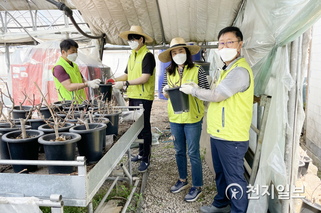 24일 마케팅전략부 임직원과 NH-고객패널이 함께 화분 갈이를 진행하고 있다. 오른쪽부터 남재원 부행장, 정현정 고객패널, 한희남 고객패널, 김형기 마케팅전략부장 (제공: NH농협은행) ⓒ천지일보 2021.5.25